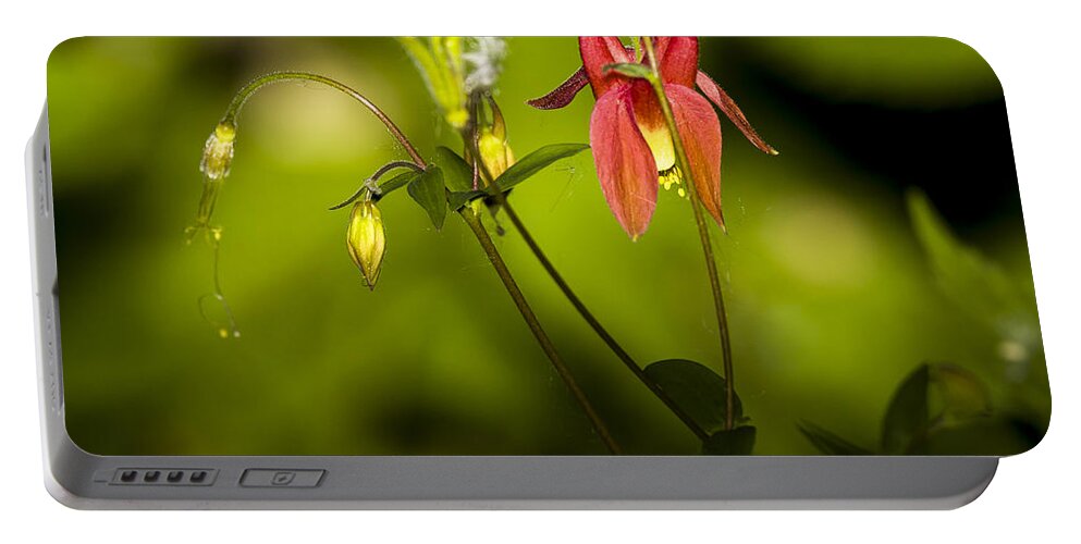 Beautiful Portable Battery Charger featuring the photograph Forest Columbine #2 by Jack R Perry