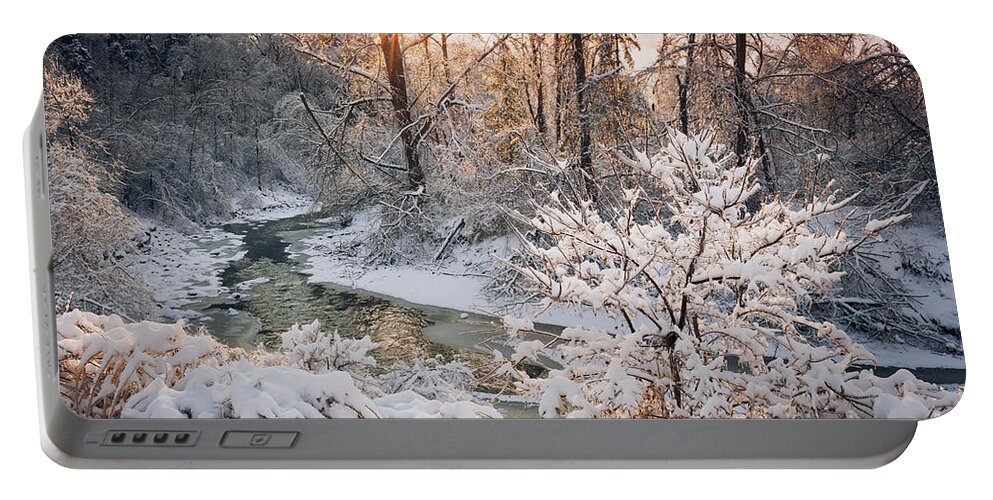 Winter Portable Battery Charger featuring the photograph Forest creek after winter storm 4 by Elena Elisseeva