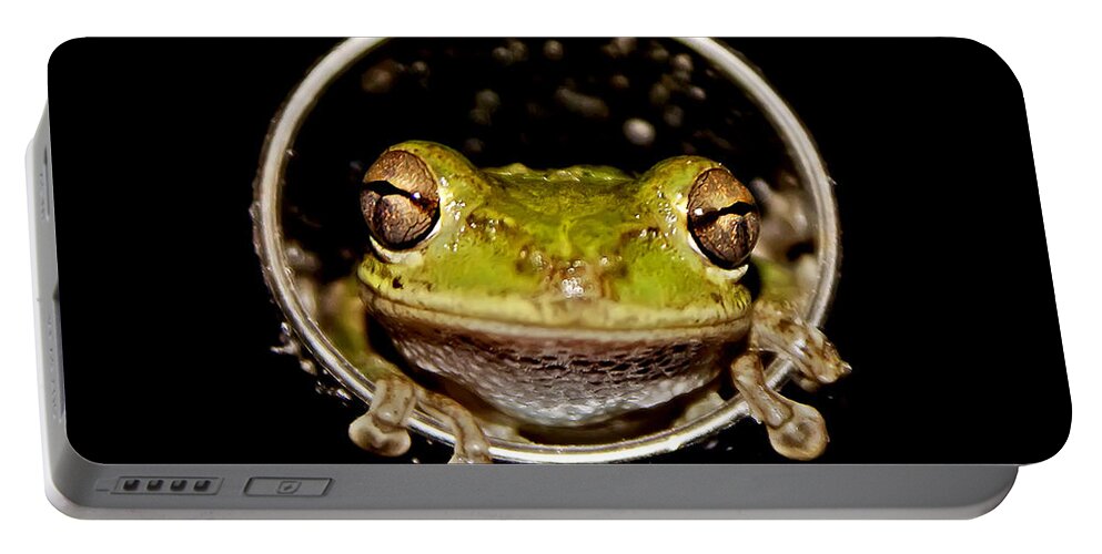 Macro Portable Battery Charger featuring the photograph Frog #2 by Olga Hamilton