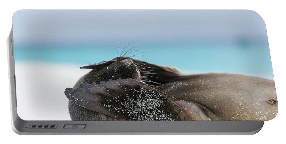Tui De Roy Portable Battery Charger featuring the photograph Galapagos Sea Lion Pup Covering Face by Tui De Roy