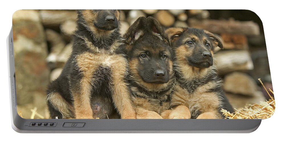 Dog Portable Battery Charger featuring the photograph German Shepherd Puppies #1 by Jean-Michel Labat