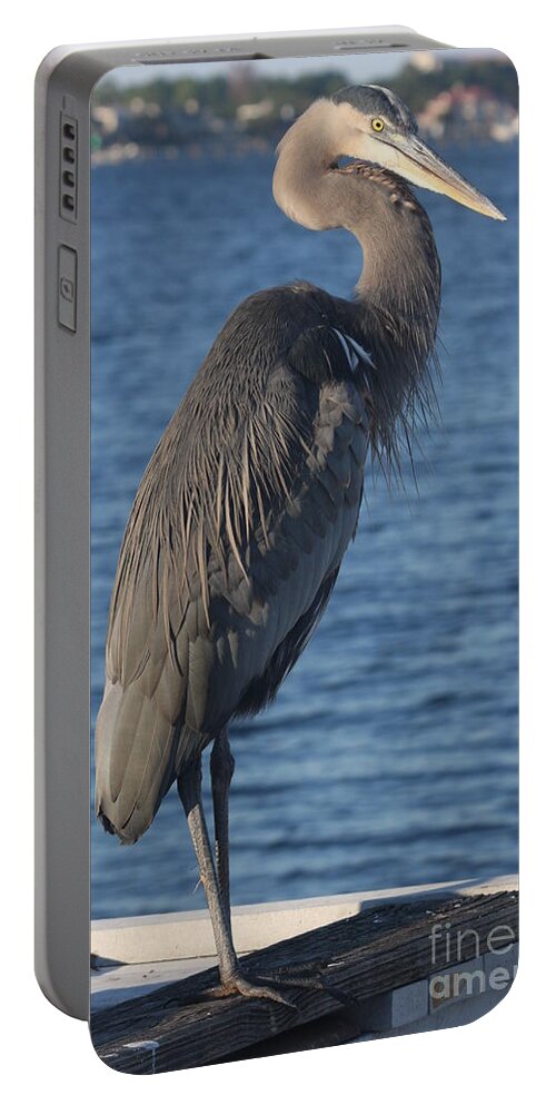 Heron Portable Battery Charger featuring the photograph Great Blue Heron by Christiane Schulze Art And Photography
