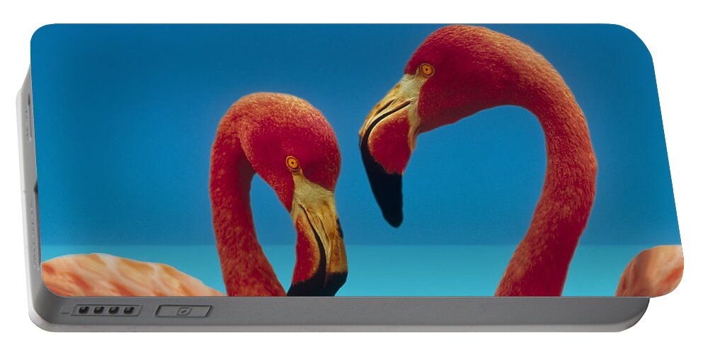 00172310 Portable Battery Charger featuring the photograph Greater Flamingo Phoenicopterus Ruber #2 by Tim Fitzharris