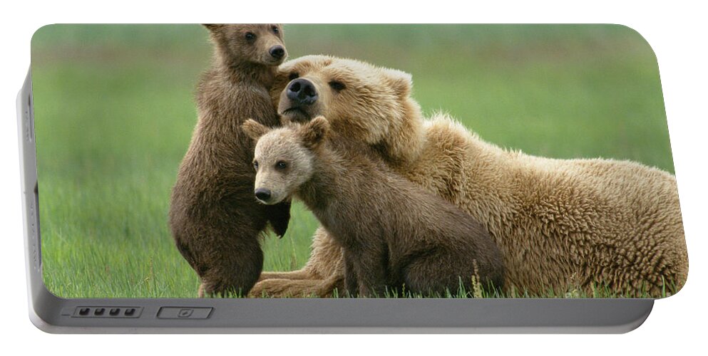 00345263 Portable Battery Charger featuring the photograph Grizzly Cubs Play With Mom by Yva Momatiuk John Eastcott
