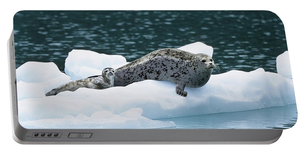 Feb0514 Portable Battery Charger featuring the photograph Harbor Seal And Pup On Ice Floe Alaska #1 by Konrad Wothe
