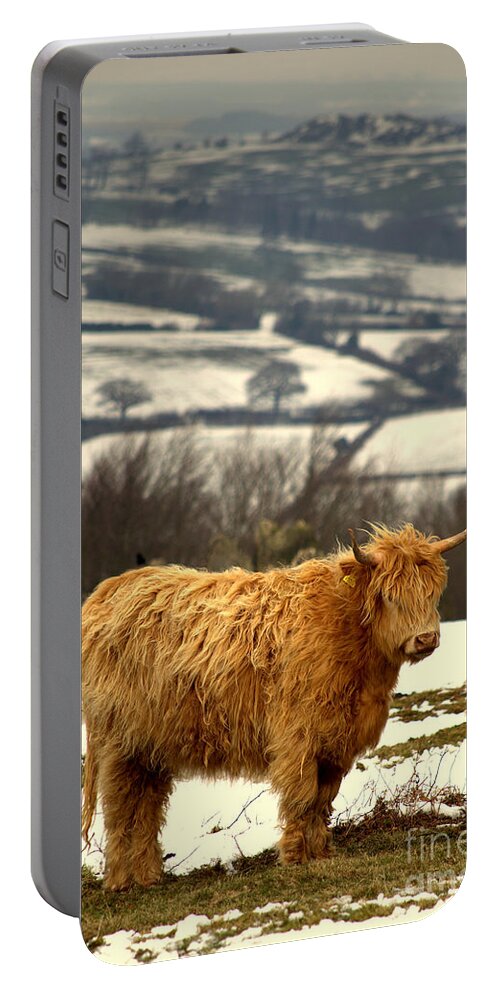 Winter Portable Battery Charger featuring the photograph Highland Cow #2 by Linsey Williams