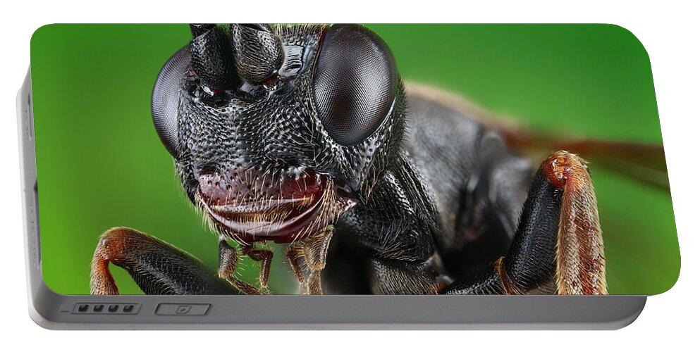 Ichneumon Wasp Portable Battery Charger featuring the photograph Ichneumon Wasp #1 by Matthias Lenke
