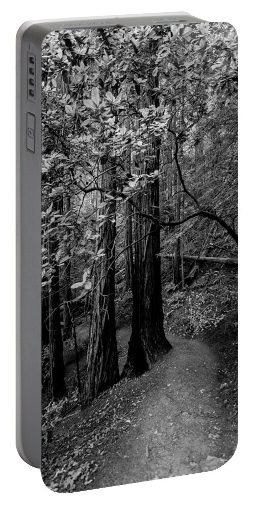 California Portable Battery Charger featuring the photograph In the Woods #2 by Alexander Fedin