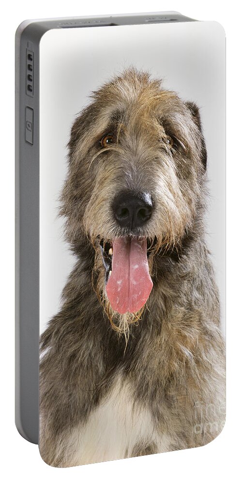 Dog Portable Battery Charger featuring the photograph Irish Wolfhound #1 by John Daniels