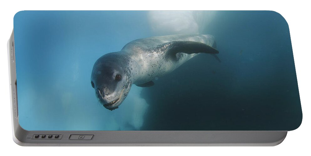 Feb0514 Portable Battery Charger featuring the photograph Leopard Seal Antarctica #2 by Hiroya Minakuchi