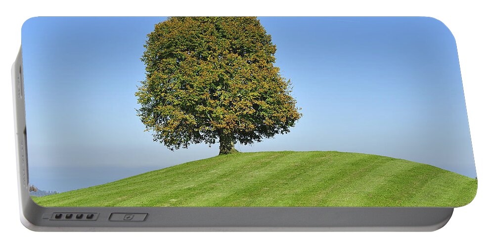 Feb0514 Portable Battery Charger featuring the photograph Lime Tree Zug Switzerland #1 by Thomas Marent