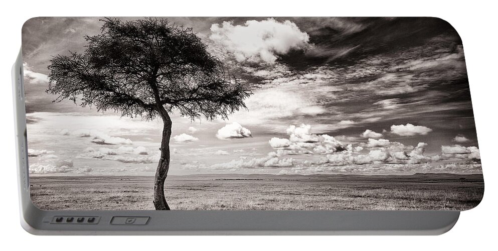 Africa Portable Battery Charger featuring the photograph Lions In The Shade - Selenium Toned #1 by Mike Gaudaur
