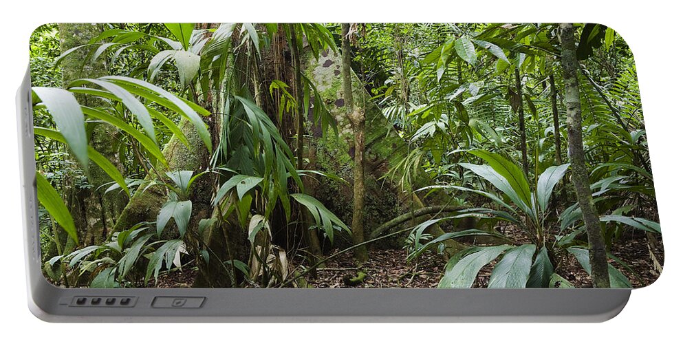 Feb0514 Portable Battery Charger featuring the photograph Lowland Rainforest Costa Rica #1 by Konrad Wothe