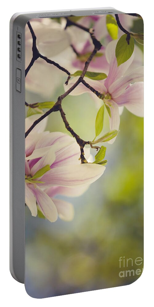 Magnolia Portable Battery Charger featuring the photograph Magnolia Flowers by Nailia Schwarz