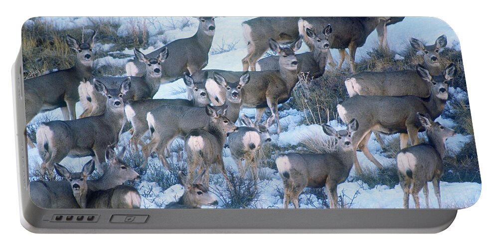 Mule Deer Portable Battery Charger featuring the photograph Mule Deer #1 by Art Wolfe