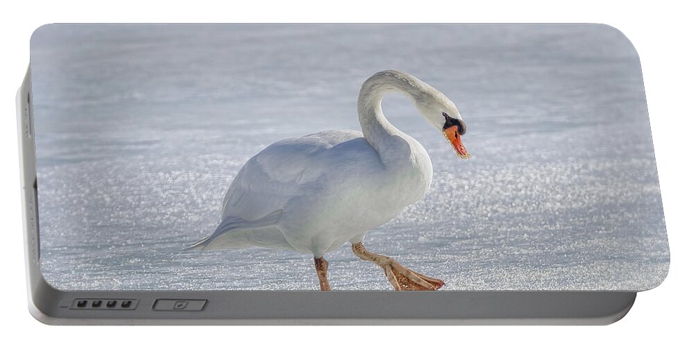 Mute Swan On St Clair River Portable Battery Charger featuring the photograph Mute Swan on St Clair River #1 by LeeAnn McLaneGoetz McLaneGoetzStudioLLCcom