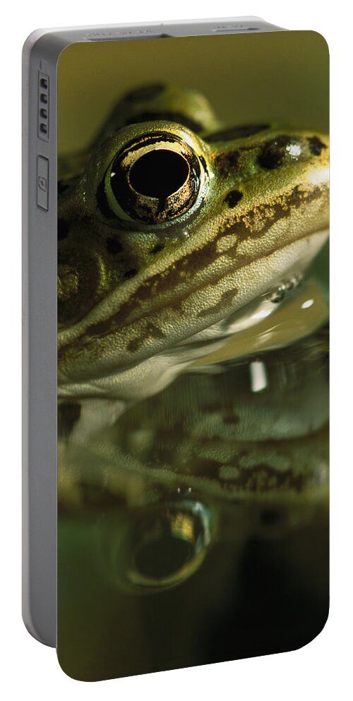 Feb0514 Portable Battery Charger featuring the photograph Northern Leopard Frog #1 by Heidi & Hans-Juergen Koch
