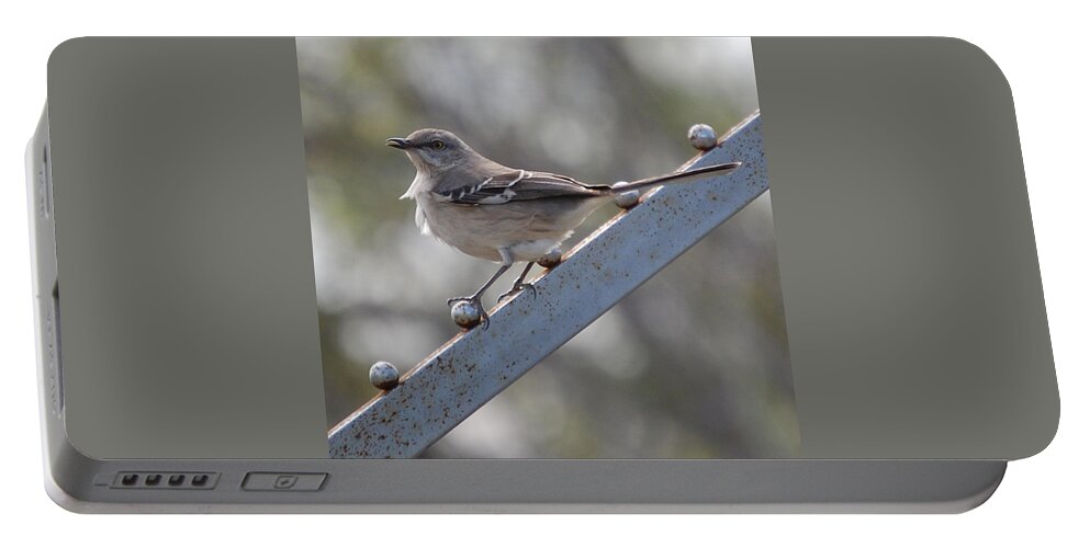 Mockingbird Portable Battery Charger featuring the photograph Northern Mockingbird 2 #1 by Leticia Latocki