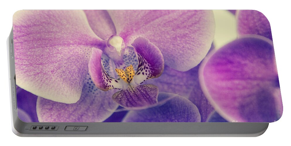 Asia Portable Battery Charger featuring the photograph Orchid - Lilac Dark by Hannes Cmarits