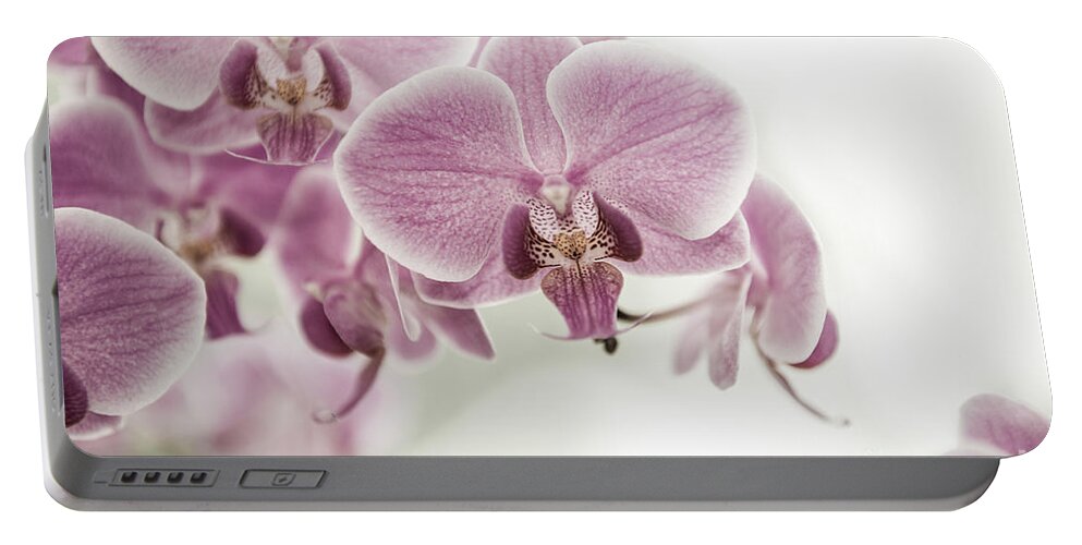 Asia Portable Battery Charger featuring the photograph Orchid Pink Vintage #1 by Hannes Cmarits