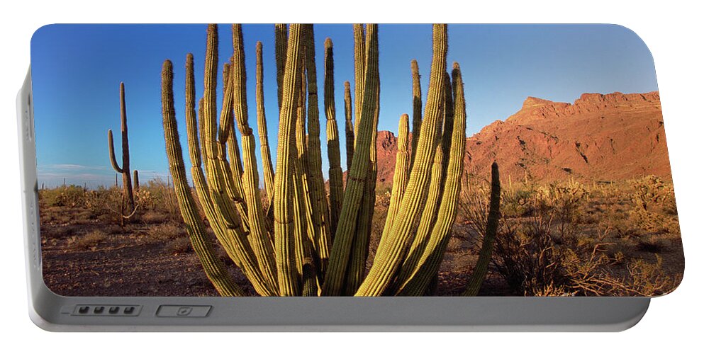 00343712 Portable Battery Charger featuring the photograph Organ Pipe Cactus Natl Monument #2 by Yva Momatiuk John Eastcott