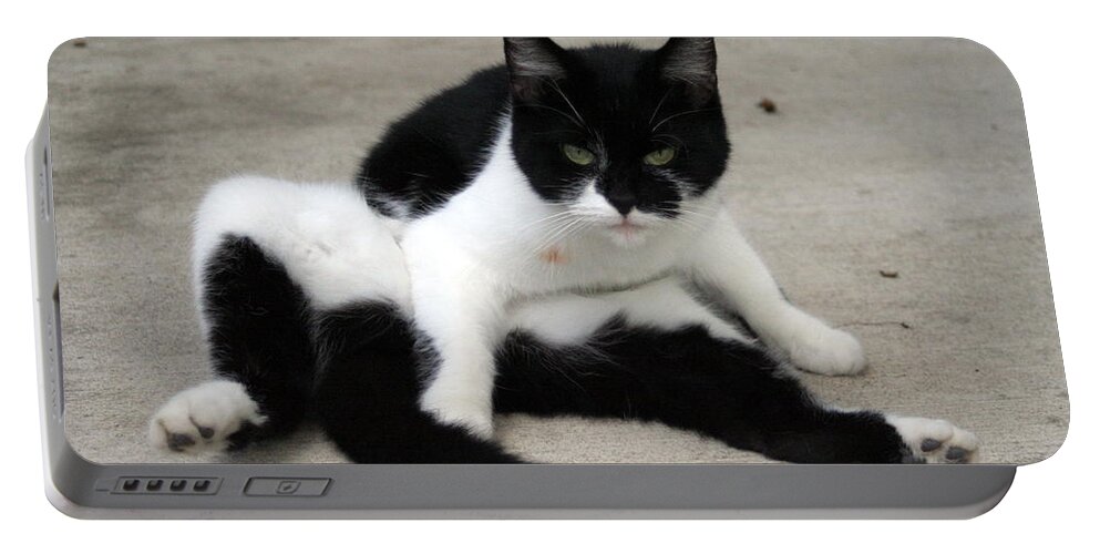 Cat Portable Battery Charger featuring the photograph Black and White Tuxedo Cat by Valerie Collins