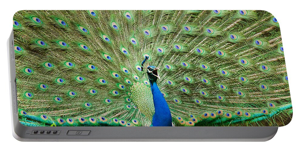Blue Peafowl Portable Battery Charger featuring the photograph Peacock #1 by SAURAVphoto Online Store
