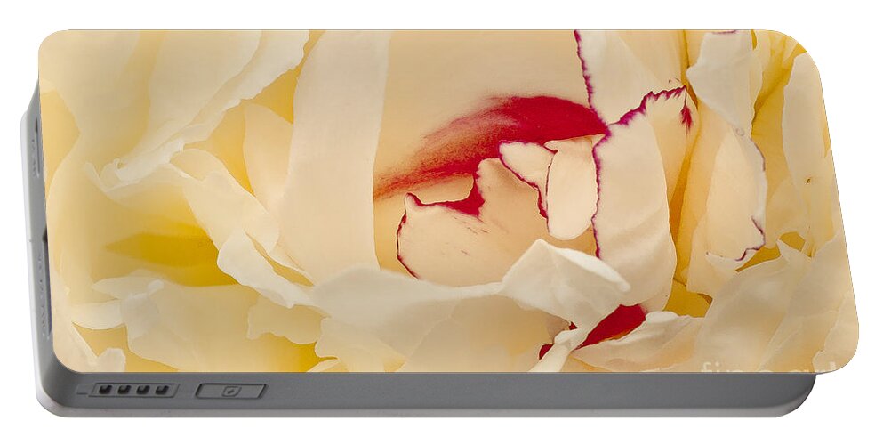 Flower Portable Battery Charger featuring the photograph Peony by Steven Ralser