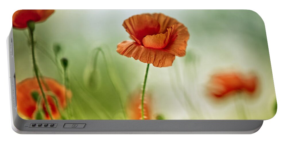 Poppy Portable Battery Charger featuring the photograph Poppy Meadow by Nailia Schwarz