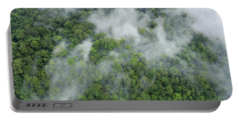 Feb0514 Portable Battery Charger featuring the photograph Primary Rainforest Sabah Borneo #1 by Ch'ien Lee