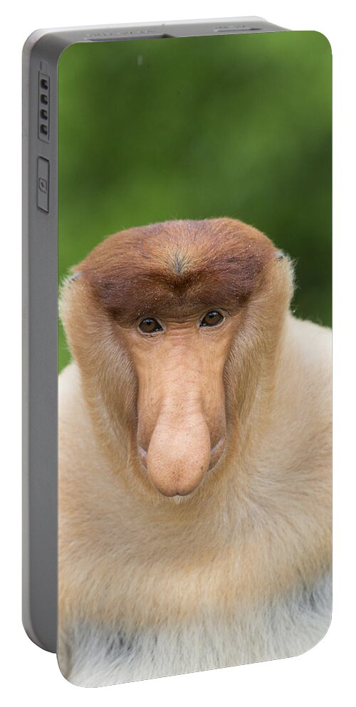 Suzi Eszterhas Portable Battery Charger featuring the photograph Proboscis Monkey Dominant Male Sabah by Suzi Eszterhas