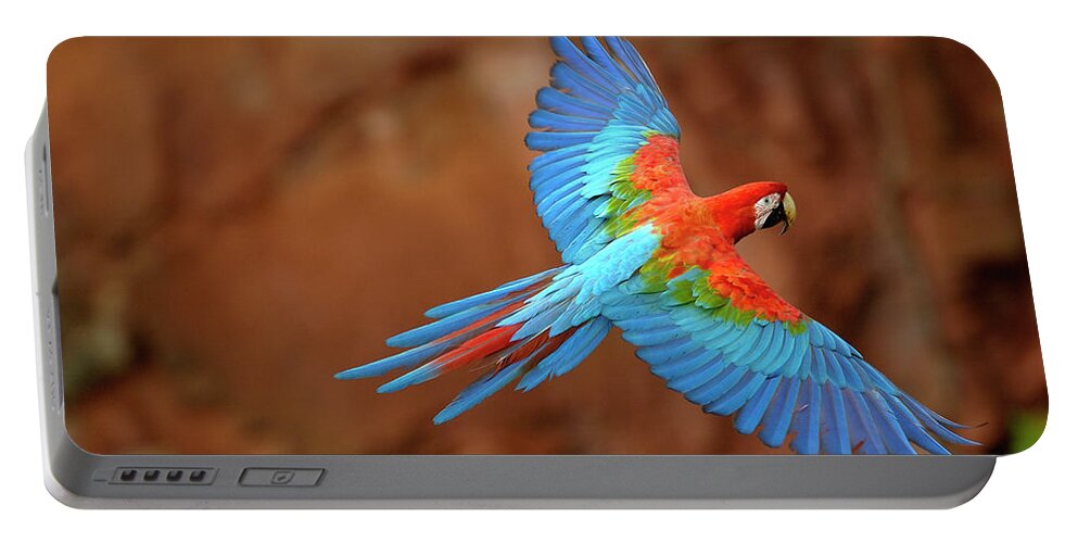00217513 Portable Battery Charger featuring the photograph Red And Green Macaw Flying #1 by Pete Oxford