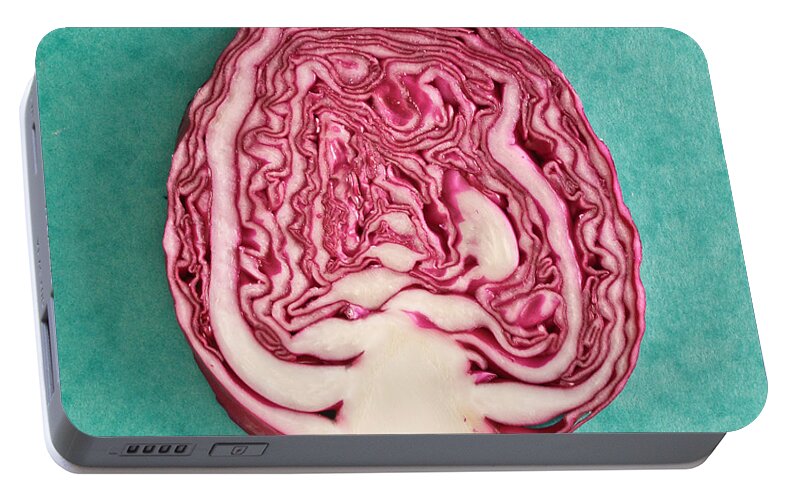 Autumn Portable Battery Charger featuring the photograph Red cabbage #1 by Tom Gowanlock