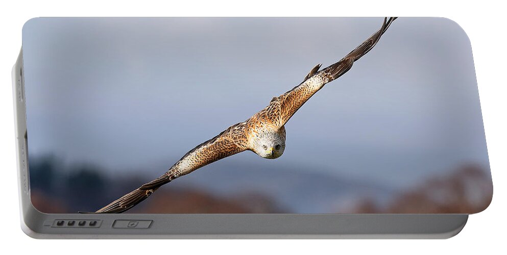  Flying Bird Portable Battery Charger featuring the photograph Red Kite Soaring #1 by Grant Glendinning