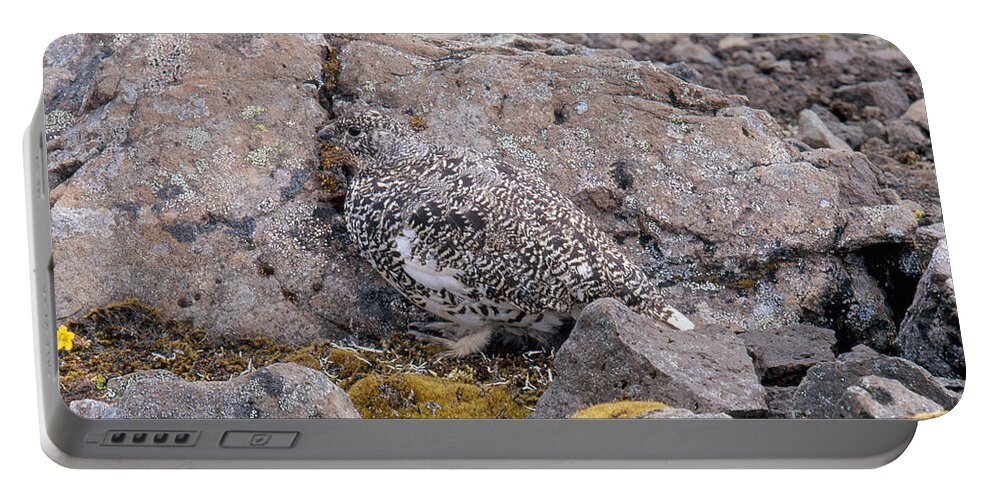 Rock Ptarmigan Portable Battery Charger featuring the photograph Rock Ptarmigan #1 by Art Wolfe