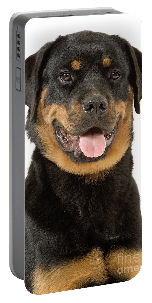 Rottweiler Portable Battery Charger featuring the photograph Rottweiler Dog #1 by Jean-Michel Labat