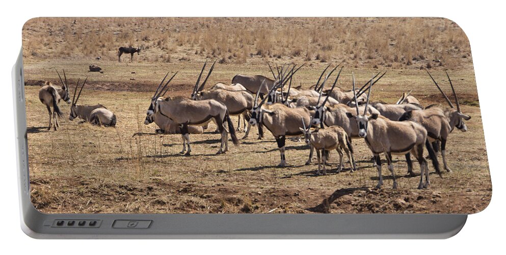 Oryx Portable Battery Charger featuring the photograph Safety in Numbers #1 by Douglas Barnard
