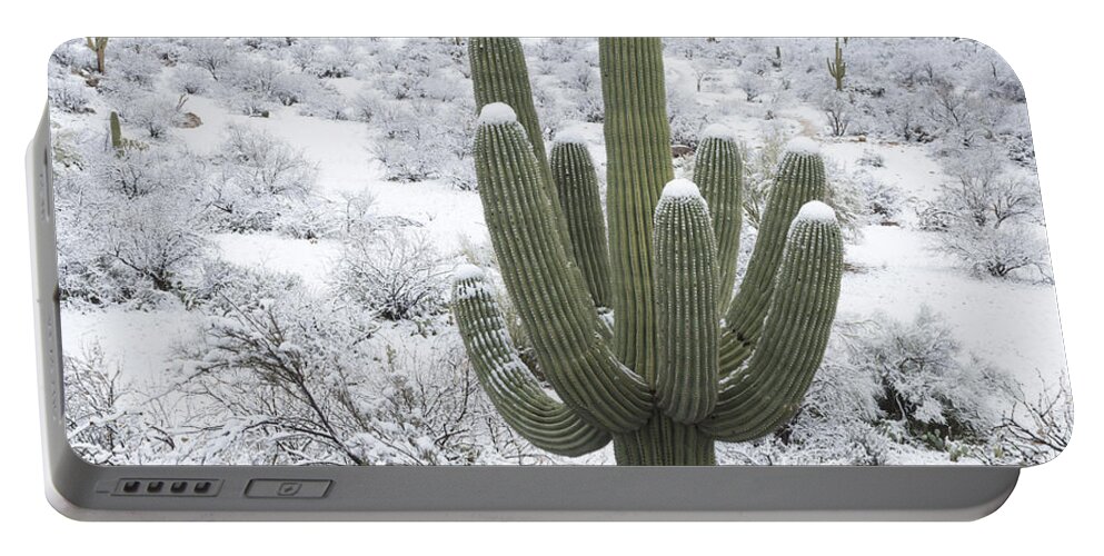 Arizona Portable Battery Charger featuring the photograph Saguaro Cactus After Rare Desert #1 by John Shaw