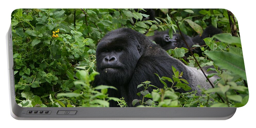 Gorilla Portable Battery Charger featuring the photograph Silverback On Watch #1 by Bruce J Robinson