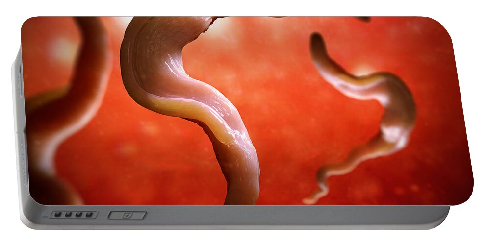 Trypanosoma Portable Battery Charger featuring the photograph Sleeping Sickness Parasites #1 by Science Picture Co