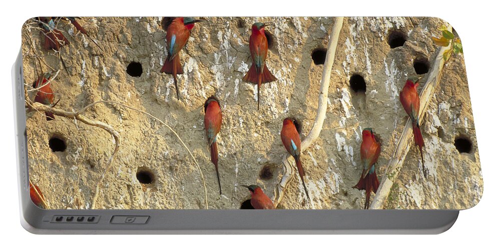 Horizontal Portable Battery Charger featuring the photograph Southern Carmine Bee Eaters #1 by Art Wolfe