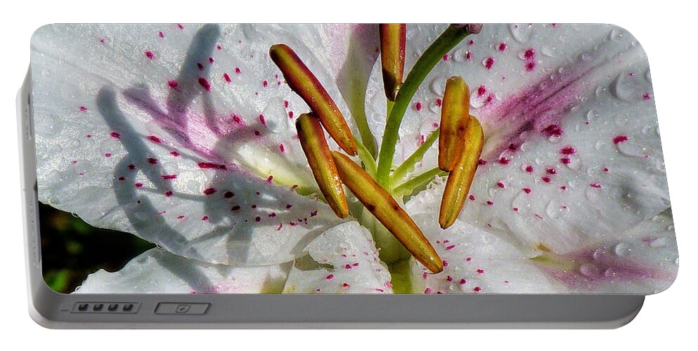 Lily Portable Battery Charger featuring the photograph Stargazer Lily #1 by Lynn Bolt