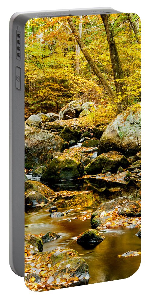 Fall Portable Battery Charger featuring the photograph Stillness and Motion #1 by Greg Fortier