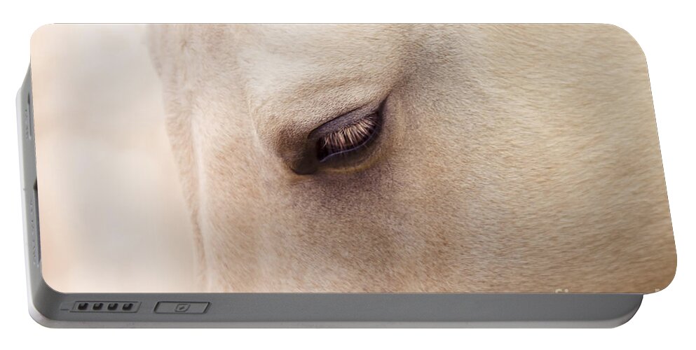 Horses Portable Battery Charger featuring the photograph The Guardian Of My Heart #2 by Sharon Mau