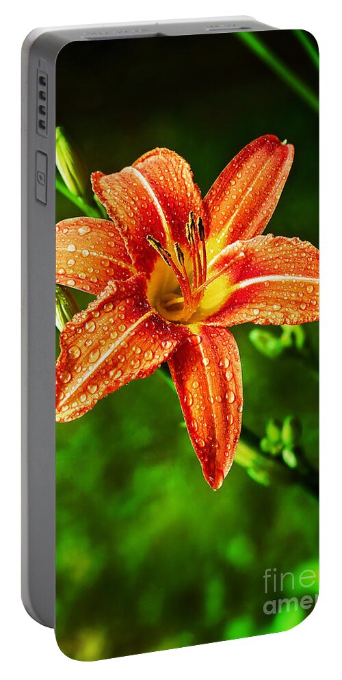 Tiger Lily Portable Battery Charger featuring the photograph Tiger Lily Print by Gwen Gibson