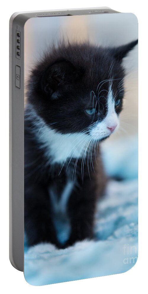 Iris Holzer Richardson Portable Battery Charger featuring the photograph Tired Kitten #1 by Iris Richardson
