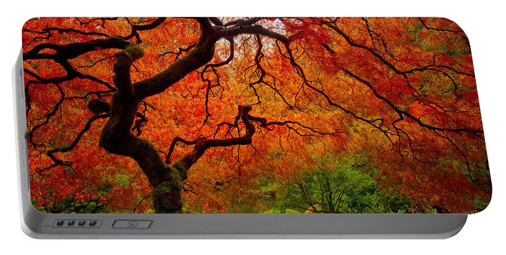 Autumn Portable Battery Charger featuring the photograph Tree Fire by Darren White