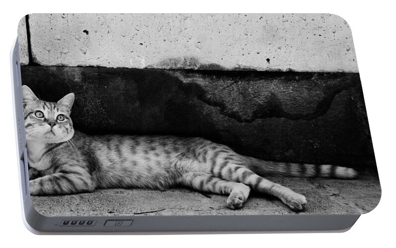 Cat Portable Battery Charger featuring the photograph Untitled #1 by Laura Melis