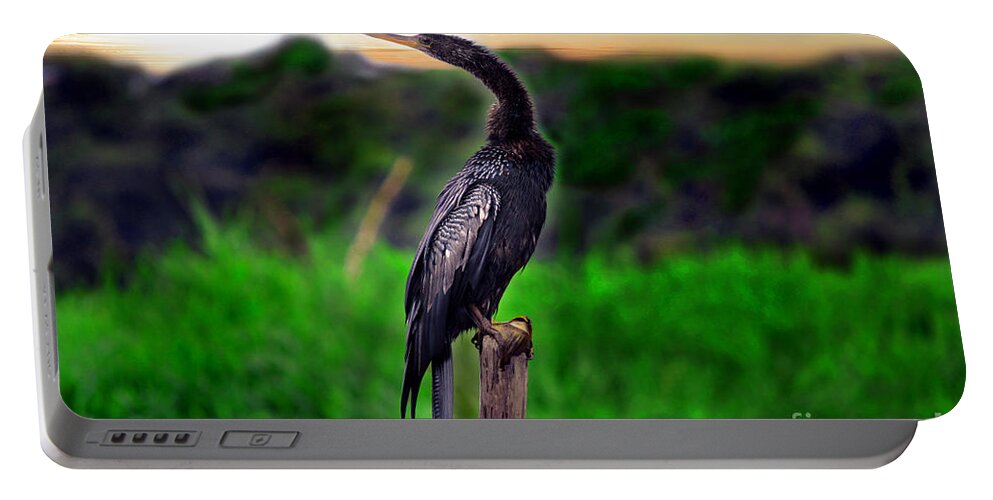Anhinga Portable Battery Charger featuring the photograph Water Turkey by Gary Keesler
