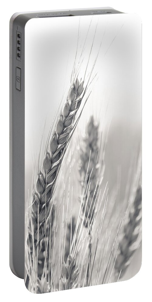 B&w Portable Battery Charger featuring the photograph Wheat #2 by Alexander Fedin